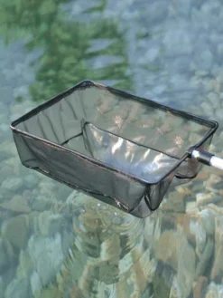 Algenkescher Gross (Art.Nr. 36297)