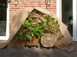 Vlies-Thermomantel, Uni Beige (Art.Nr. Vi36002) 11 Vlies-Thermomantel, Uni Beige (Art.Nr. Vi36002) -Gartenbedarfs Geschäft Wintervlies Thermomantel 5 1280x1280