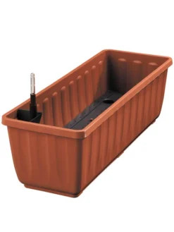 Zuckerblatt, Süßkraut, Süßblatt, Stevia Rebaudiana 8 Zuckerblatt, Süßkraut, Süßblatt, Stevia Rebaudiana -Gartenbedarfs Geschäft aquaflor tera 78960 4 1280x1280