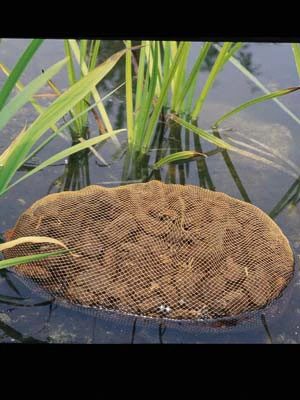 Aquahumin Von OASE (Art.Nr.53759) 2 Aquahumin Von OASE (Art.Nr.53759) – Bild 2