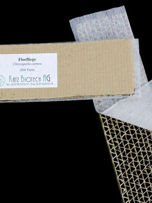 Florfliege (Art.Nr. KB4070) 3 Florfliege (Art.Nr. KB4070) – Bild 3