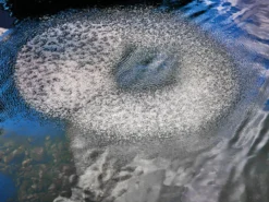 AquaOxy Belüfterring D 60 Cm Von OASE (Art.Nr. 88667) -Gartenbedarfs Geschäft beluefterring 3 1280x1280