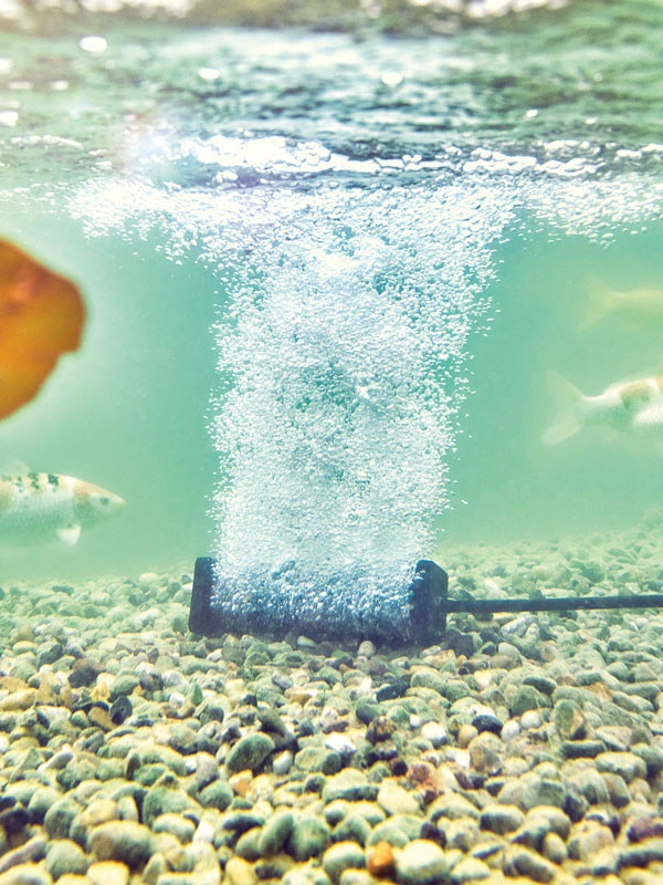 AquaOxy Belüfterstab S Von OASE (Art.Nr. 88668) 2 AquaOxy Belüfterstab S Von OASE (Art.Nr. 88668) – Bild 2