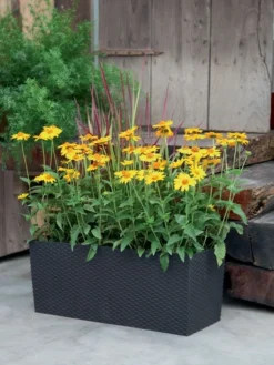 Blumenkasten Rato Case In Flechtoptik 6 Blumenkasten Rato Case In Flechtoptik -Gartenbedarfs Geschäft blumenkasten rato square be 1280x1280