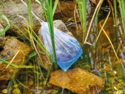 AquaActiv DuoBoost Von OASE 8 AquaActiv DuoBoost Von OASE -Gartenbedarfs Geschäft duoboost6 1280x1280