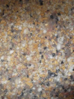 Bachlauf-Set 'Donau' (Art.Nr. 30120) -Gartenbedarfs Geschäft ems material 81137 2 1280x1280