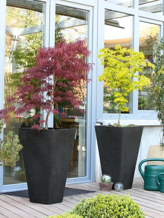 Pflanzkübel Geflecht-Dekor 8 Pflanzkübel Geflecht-Dekor – Bild 8