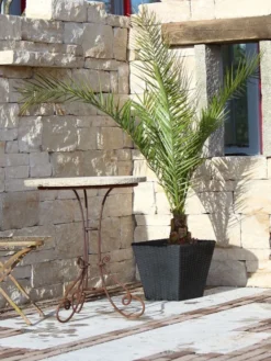 Pflanzkübel Geflecht-Dekor 18 Pflanzkübel Geflecht-Dekor -Gartenbedarfs Geschäft flechtkuebel eckig niedrig57ebb4ed38d1b 1280x1280