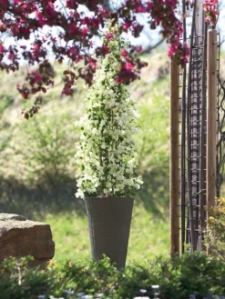 Pflanzkübel Geflecht-Dekor 16 Pflanzkübel Geflecht-Dekor -Gartenbedarfs Geschäft flechtkuebel rund hoch bepf 1280x1280