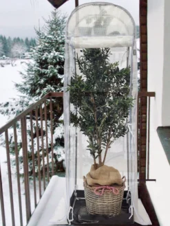 Frost-Schutzhaus SNOW (Art.Nr. V29933) 13 Frost-Schutzhaus SNOW (Art.Nr. V29933) -Gartenbedarfs Geschäft frost schutzhaus balkon 1280x1280