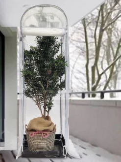 Frost-Schutzhaus SNOW (Art.Nr. V29933) 10 Frost-Schutzhaus SNOW (Art.Nr. V29933) -Gartenbedarfs Geschäft frost schutzhaus winter 1280x1280