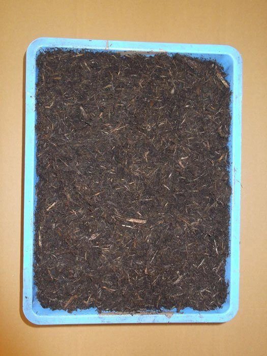 Gala Protect ® Multi-Abdeckfaser 2 Gala Protect ® Multi-Abdeckfaser – Bild 2