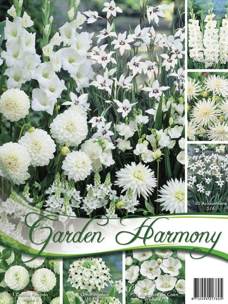 Sortiment Weißer Garten (Art.Nr. 522452) 1 Sortiment Weißer Garten (Art.Nr. 522452)