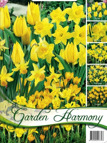 Edle Farbkombination 'Gelber Garten' (Art.Nr. 598245) 1 Edle Farbkombination 'Gelber Garten' (Art.Nr. 598245)