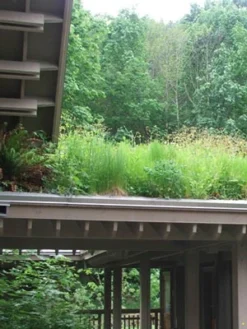 Gründach-Paket Für 15 Qm Dachfläche 5 Gründach-Paket Für 15 Qm Dachfläche -Gartenbedarfs Geschäft gruendachpaket carport 1280x1280