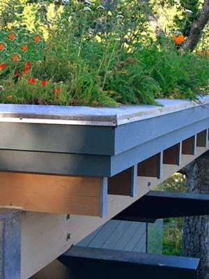 Gründach-Paket Für 15 Qm Dachfläche 2 Gründach-Paket Für 15 Qm Dachfläche – Bild 2