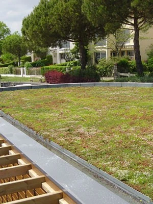 Gründach-Paket Für 15 Qm Dachfläche 1 Gründach-Paket Für 15 Qm Dachfläche