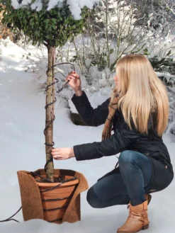 Frostschutz-Heizkabel Für Kübelpflanzen 5 Frostschutz-Heizkabel Für Kübelpflanzen -Gartenbedarfs Geschäft heizkabel frostschutz 1280x1280