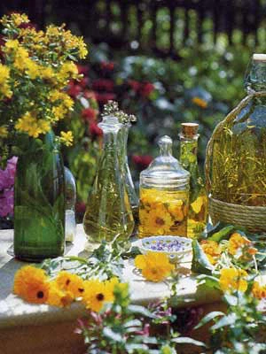 Kräutersortiment Zur Zubereitung Verschiedener Tees Oder Bowlen 1 Kräutersortiment Zur Zubereitung Verschiedener Tees Oder Bowlen