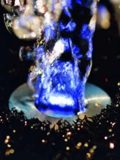 LunaLed 9s Von OASE (Art.Nr.50115) 6 LunaLed 9s Von OASE (Art.Nr.50115) -Gartenbedarfs Geschäft lunaled6s 2 75837 2 1280x1280