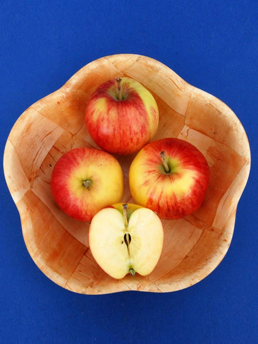 Apfel Reglindis (S) 1 Apfel Reglindis (S)