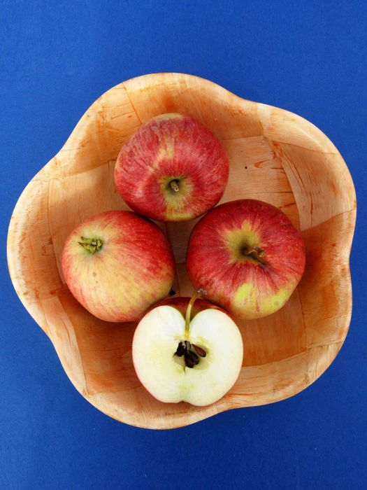 Apfel Resi (S) 2 Apfel Resi (S) – Bild 2