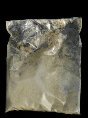 Dickmaulrüssler-Nematoden (Art.Nr. KB4157) 2 Dickmaulrüssler-Nematoden (Art.Nr. KB4157) – Bild 2