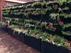 Overgrowing Mat Von Velda (Art.Nr.Vel127590) 5 Overgrowing Mat Von Velda (Art.Nr.Vel127590) -Gartenbedarfs Geschäft overgrowing mat beispiel 1280x1280