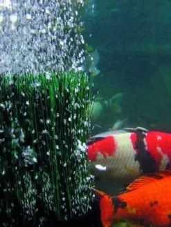 OxyTex 400 CWS Von OASE (Art.Nr. 50443) 4 OxyTex 400 CWS Von OASE (Art.Nr. 50443) -Gartenbedarfs Geschäft oxytex 3 1 75830 1 1280x1280