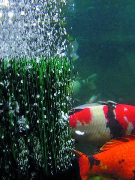 OxyTex 400 CWS Von OASE (Art.Nr. 50443) 2 OxyTex 400 CWS Von OASE (Art.Nr. 50443) – Bild 2