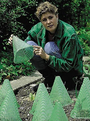 Pflanzen-Schutzhut 'Sunnyboy' (Art.Nr. 648582) 1 Pflanzen-Schutzhut 'Sunnyboy' (Art.Nr. 648582)