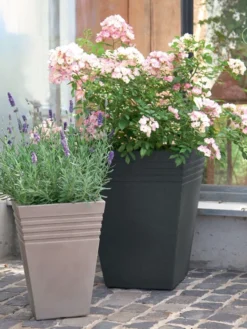 Pflanzkübel Moderno -Gartenbedarfs Geschäft pflanzkuebel moderno bepfla 1280x1280