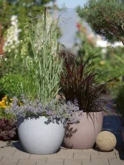 Pflanzkübel Rimini -Gartenbedarfs Geschäft pflanzkuebel rimini stimmun 1280x1280