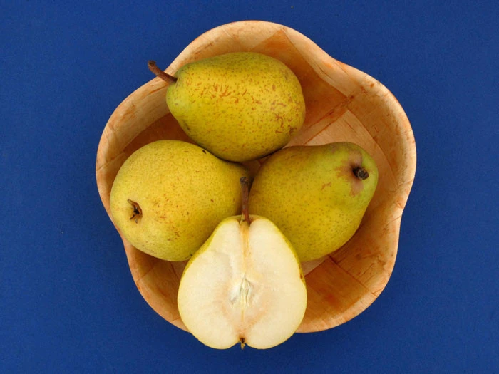 Birne Alexander Lucas 2 Birne Alexander Lucas – Bild 2