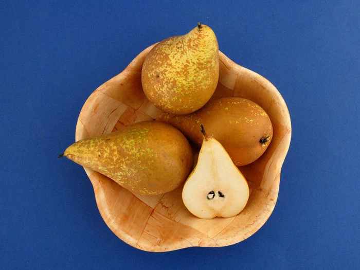 Birne Conference 2 Birne Conference – Bild 2