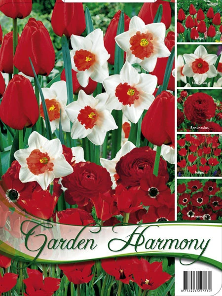 Edle Farbkombination 'Roter Garten' (Art.Nr. 598243) 1 Edle Farbkombination 'Roter Garten' (Art.Nr. 598243)