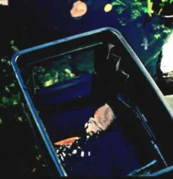 BIOsys Skimmer+ Von OASE (Art.Nr.57137) -Gartenbedarfs Geschäft skimmer j18 1280x1280