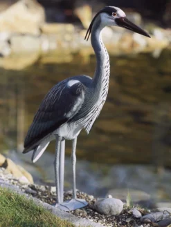 Teichfigur Fischreiher (Art.Nr. 36868)