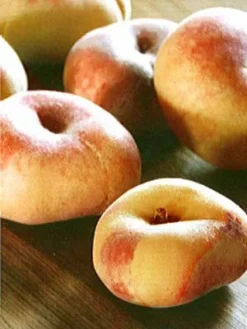 Tellerpfirsich, Plattpfirsich Paraguayo 5 Tellerpfirsich, Plattpfirsich Paraguayo -Gartenbedarfs Geschäft tellerpfirsich j1 1280x1280