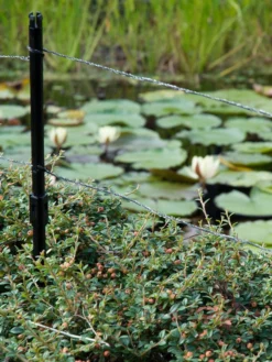 Ultra Protector Von Velda (Art.Nr.Vel128026) 6 Ultra Protector Von Velda (Art.Nr.Vel128026) -Gartenbedarfs Geschäft ultraprotector 2 1280x1280