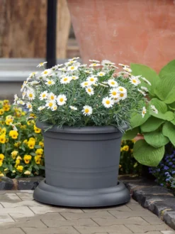 Untersetzer Mit Rollen -Gartenbedarfs Geschäft untersetzer rollen stimmung 1280x1280