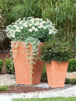 Pflanzkübel Livorno -Gartenbedarfs Geschäft vase livorno bepflanzt 1280x1280