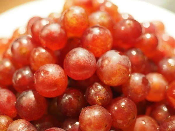 Kernlose Tafeltraube 'Suffolk Red' 1 Kernlose Tafeltraube 'Suffolk Red'